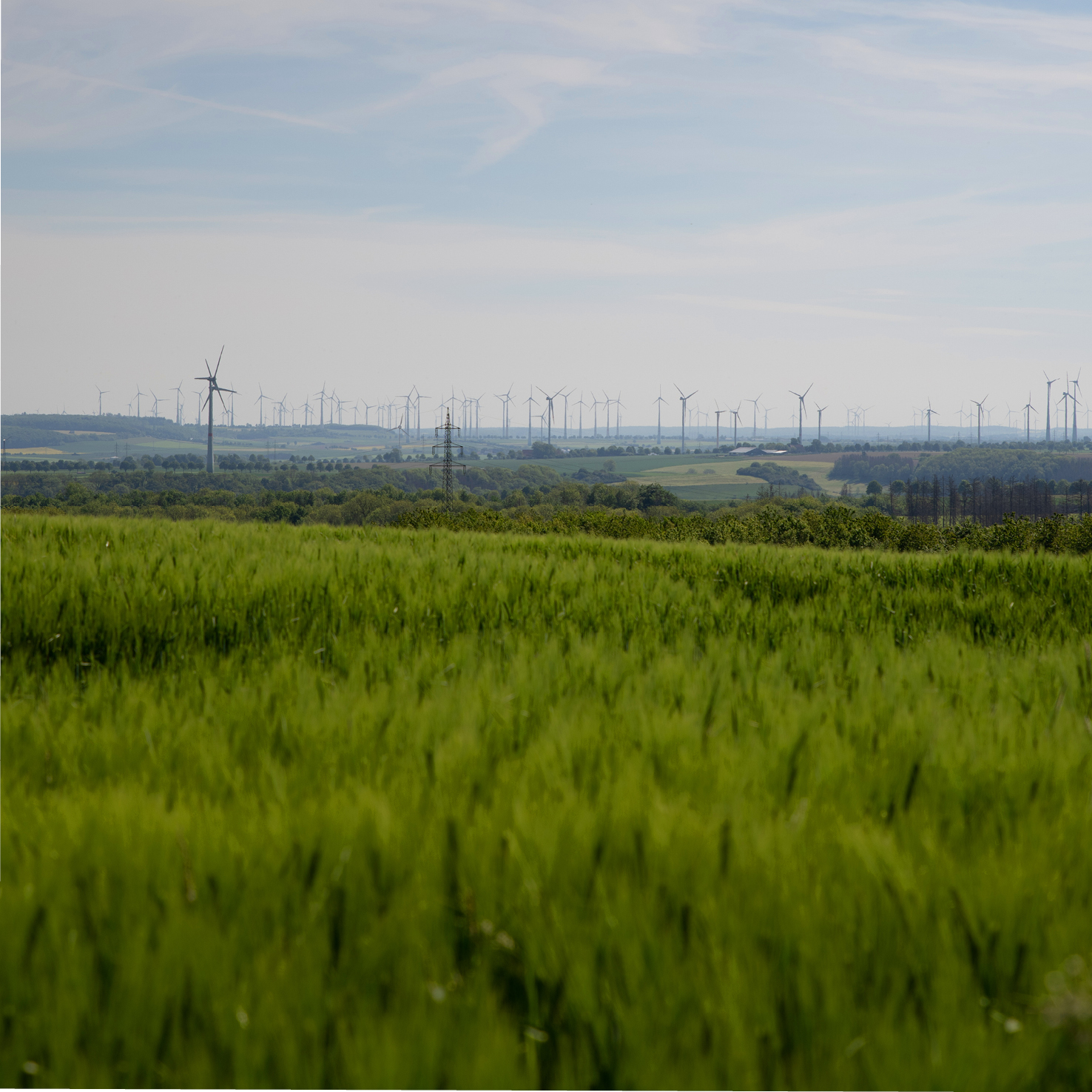 Feldflur um die MEISTERWERKE