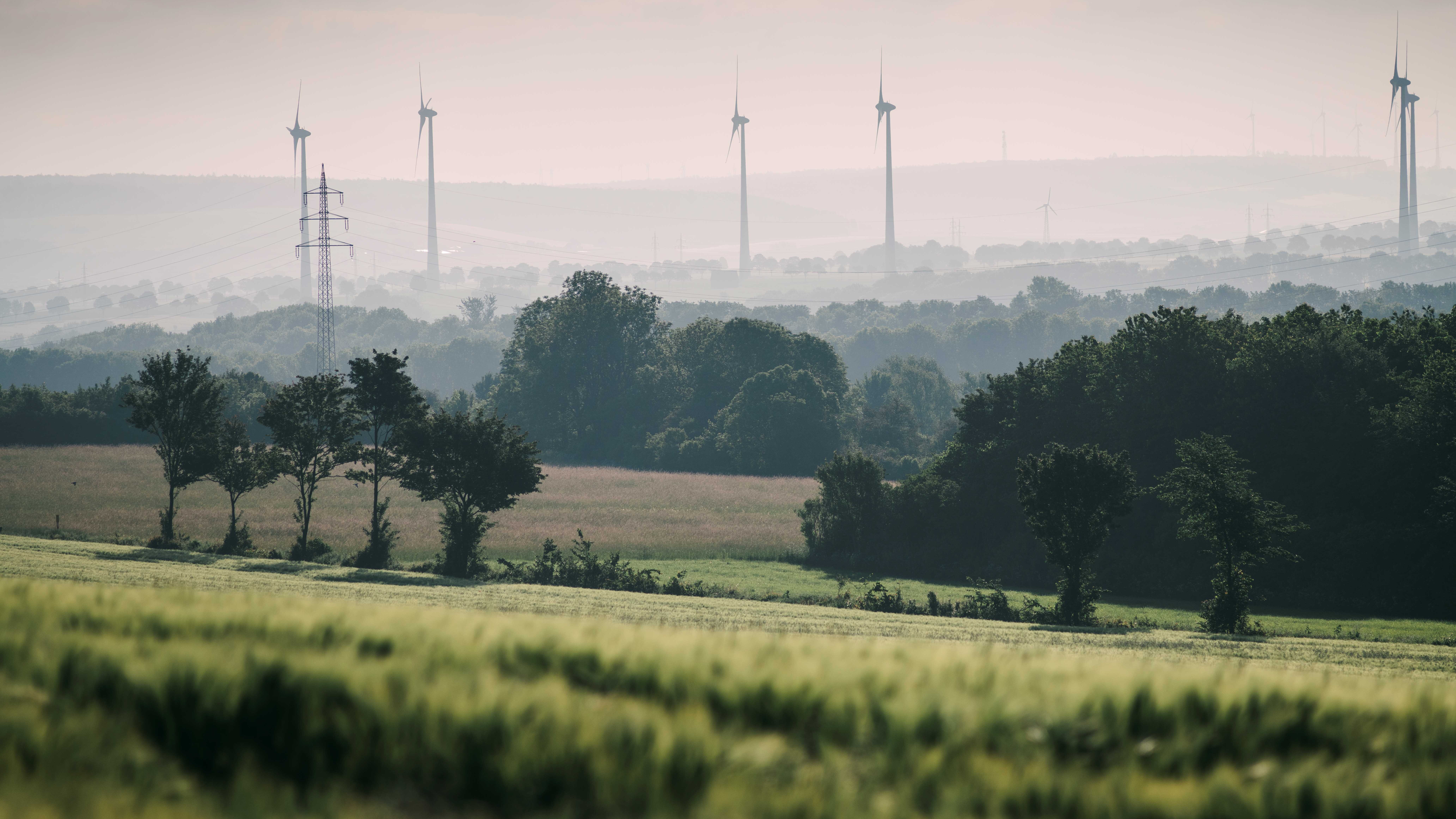 Landschaft um das Unternehmen MEISTERWERKE