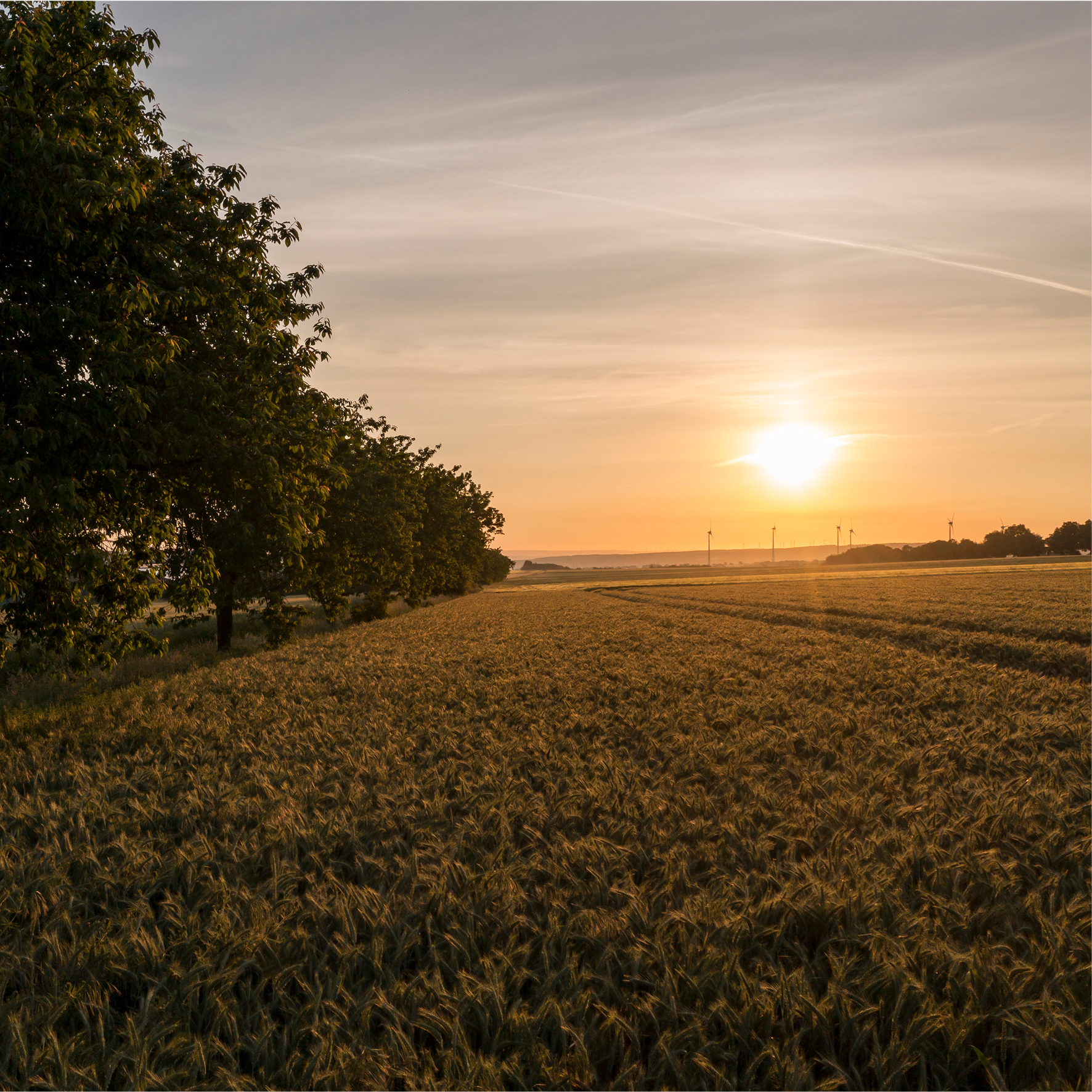 Feld im Sonnenaufgang über Meiste