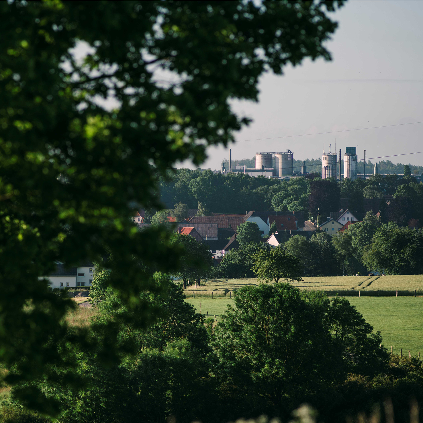 Umweltschutz bei MEISTERWERKE